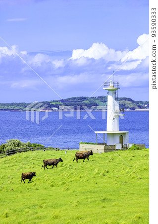 A wonderful view of Kabe Island Suginohara Ranch (Yobuko-cho, Karatsu City, Saga Prefecture) 93590333