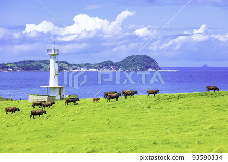 A wonderful view of Kabe Island Suginohara Ranch (Yobuko-cho, Karatsu City, Saga Prefecture) 93590334