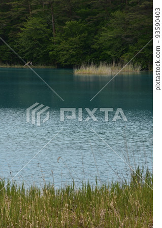 東北、福島、浦萬代、五色沼、自然、步行道、萬代山、高原、湖泊、度假區、火山噴發、湖泊 93590403