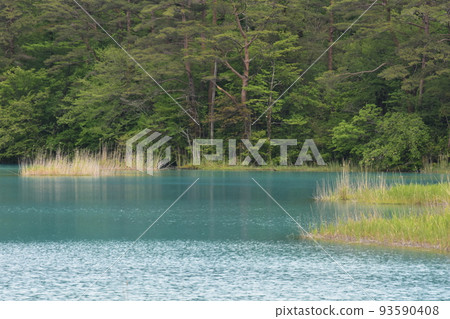 Tohoku, Fukushima, Urabandai, Goshiki-numa, nature, walking trail, Mt. Bandai, highland, lake, resort, eruption, lake 93590408