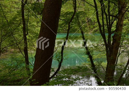 Tohoku, Fukushima, Urabandai, Goshiki-numa, nature, walking trail, Mt. Bandai, highland, lake, resort, eruption, lake Tohoku, Fukushima, Urabandai, Goshiki-numa, nature, walking trail, Mt. Bandai, highland, lake, resort, eruption, lake 93590430