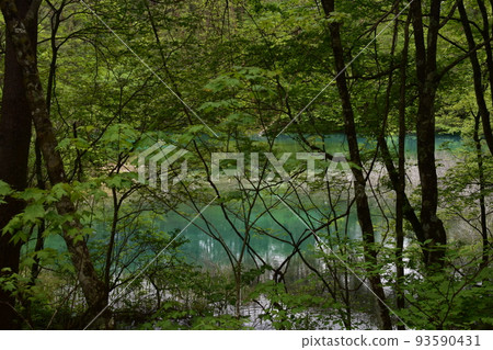Tohoku, Fukushima, Urabandai, Goshiki-numa, nature, walking trail, Mt. Bandai, highland, lake, resort, eruption, lake Tohoku, Fukushima, Urabandai, Goshiki-numa, nature, walking trail, Mt. Bandai, highland, lake, resort, eruption, lake 93590431