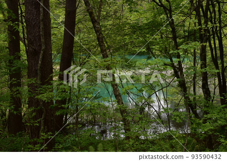 Tohoku, Fukushima, Urabandai, Goshiki-numa, nature, walking trail, Mt. Bandai, highland, lake, resort, eruption, lake Tohoku, Fukushima, Urabandai, Goshiki-numa, nature, walking trail, Mt. Bandai, highland, lake, resort, eruption, lake 93590432