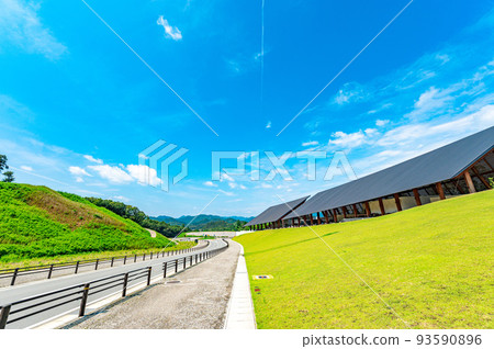 summer vision 93590896