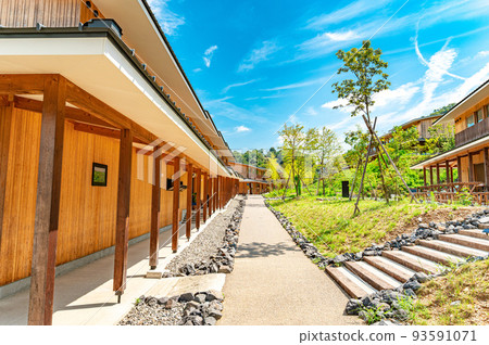 summer vision 93591071