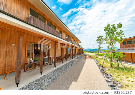 summer vision 93591127