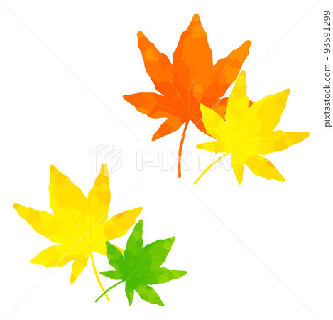 楓葉水彩風格手繪插畫 93591299