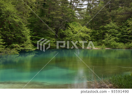 Tohoku, Fukushima, Urabandai, Goshiki-numa, nature, walking trail, Mt. Bandai, highland, lake, resort, eruption, lake Tohoku, Fukushima, Urabandai, Goshiki-numa, nature, walking trail, Mt. Bandai, highland, lake, resort, eruption, lake 93591490