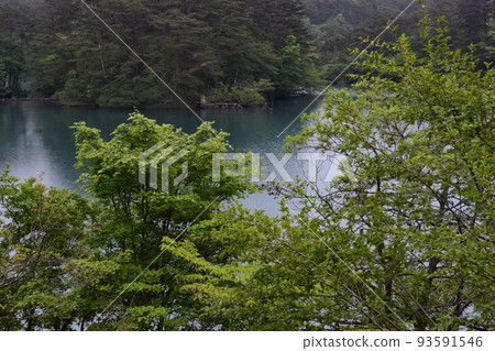 Tohoku, Fukushima, Urabandai, Goshiki-numa, nature, walking trail, Mt. Bandai, highland, lake, resort, eruption, lake Tohoku, Fukushima, Urabandai, Goshiki-numa, nature, walking trail, Mt. Bandai, highland, lake, resort, eruption, lake 93591546