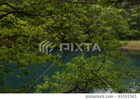 Tohoku, Fukushima, Urabandai, Goshiki-numa, nature, walking trail, Mt. Bandai, highland, lake, resort, eruption, lake 93591565