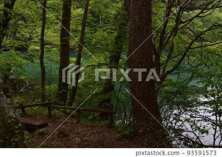東北、福島、浦萬代、五色沼、自然、步行道、萬代山、高原、湖泊、度假區、火山噴發、湖泊 東北、福島、浦萬代、五色沼、自然、步行道、萬代山、高原、湖泊、度假區、火山噴發、湖泊 93591573
