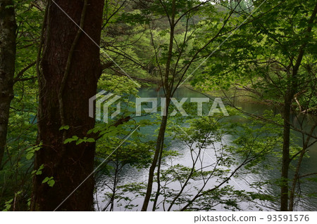 東北、福島、浦萬代、五色沼、自然、步行道、萬代山、高原、湖泊、度假區、火山噴發、湖泊 東北、福島、浦萬代、五色沼、自然、步行道、萬代山、高原、湖泊、度假區、火山噴發、湖泊 93591576