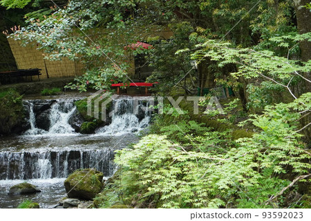 Kibiko's river bed 93592023