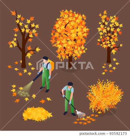 Cleaning Autumn Foliage Isometric Illustration 93592173
