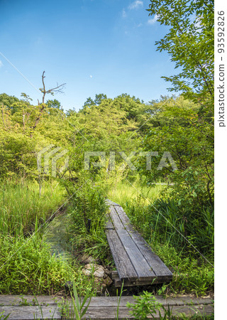 《愛知縣》名古屋市森山區小畑綠地蜻蜓池 93592826