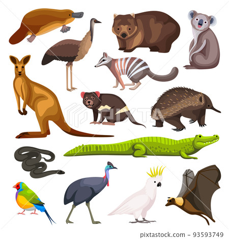 Australian Animals Set 93593749