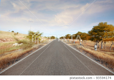 Asphalt road with meadow field and trees 93594174