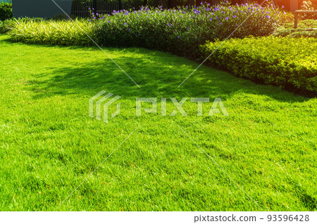 Backyard in spring, garden landscape design with tall and low shrubs and flowers has a beautiful rounded shape in the middle is a green grass, Newly cut lawn Lush green with morning sunlight. 93596428