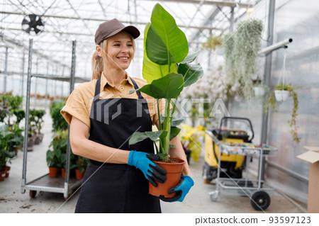 Portrait of a beautiful middle-aged woman with a flowerpot in the garden center 93597123
