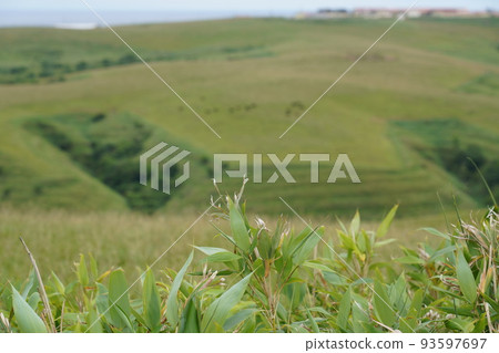 Sōya Hills 93597697