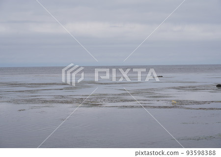 Cape Soya Cape Soya 93598388