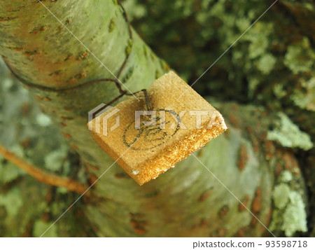 紡織板（殺蟲劑） 93598718