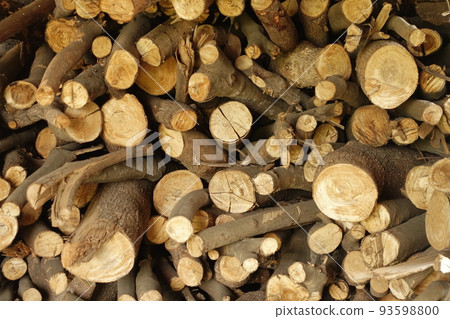 Image of firewood (for camping, etc.) 93598800