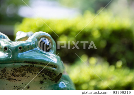 一隻青蛙 93599219