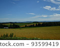 Biei in summer 93599419