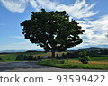 Summer seven star tree 93599422
