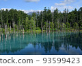 Platinum Blue Pond 93599423
