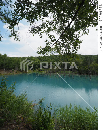Blue pond Blue pond 93599758