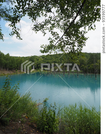 Blue pond 93599777