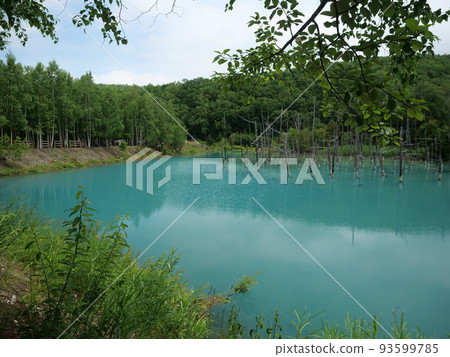 Blue pond 93599785