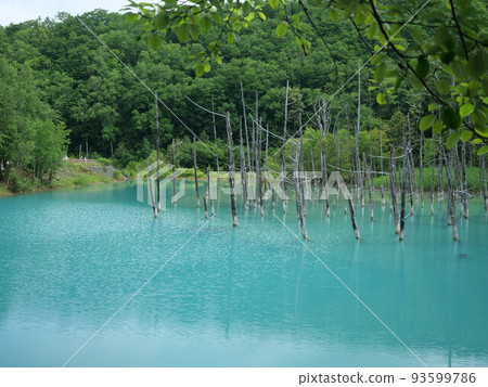 Blue pond 93599786