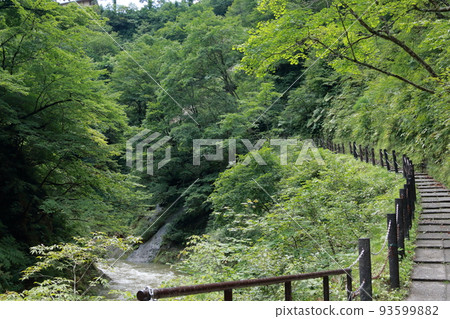 宮城縣來來峽 宮城縣來來峽 93599882
