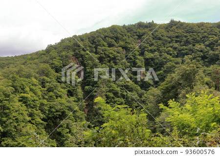 宮城縣來來峽 93600576