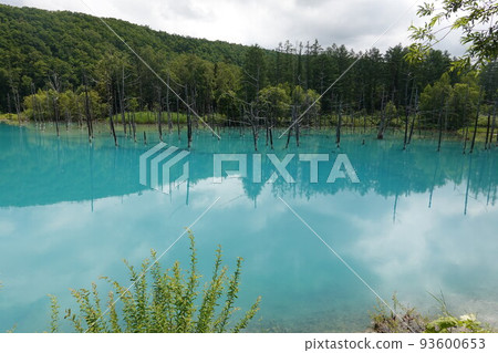 Blue pond Blue pond 93600653