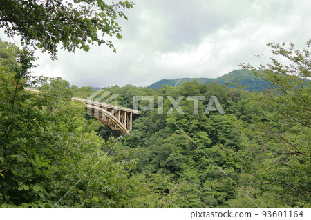 Rairaikyo Gorge, Miyagi Prefecture 93601164