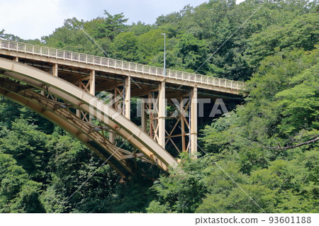 Rairaikyo Gorge, Miyagi Prefecture 93601188