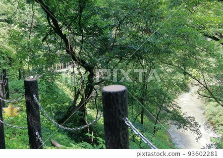 宮城縣來來峽 93602281