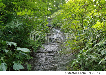 宮城縣來來峽 93602316