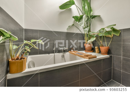 White bathtub with metal faucet in modern bathroom in minimal style in apartment White bathtub with metal faucet in modern bathroom in minimal style in apartment 93603255