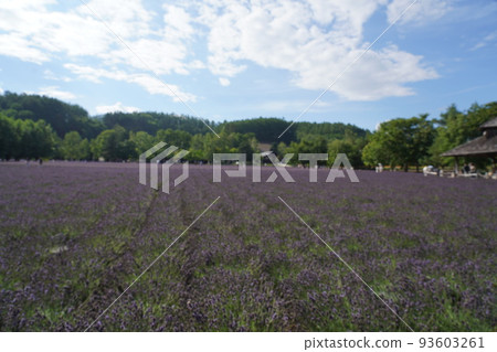 富田農場 富田農場 93603261