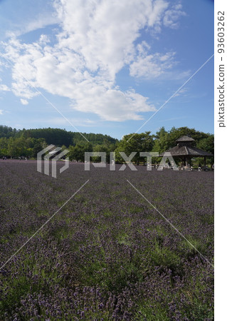 富田農場 富田農場 93603262