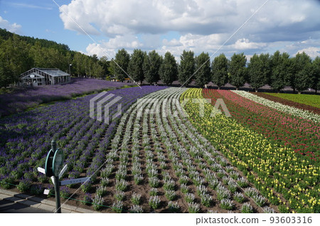 Farm Tomita Farm Tomita 93603316