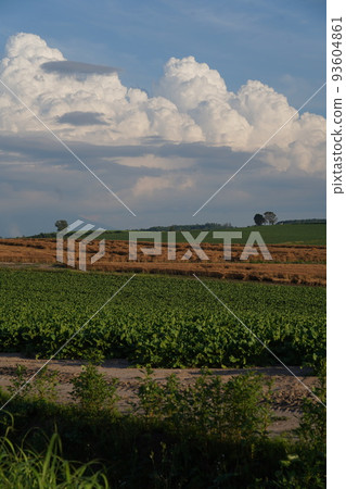 Biei no Oka Biei no Oka 93604861