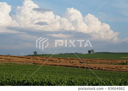 Biei no Oka Biei no Oka 93604862