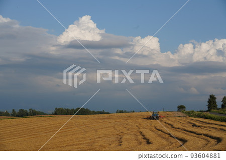 Biei no Oka 93604881