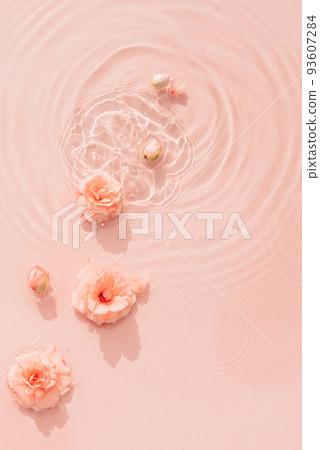 Summer background with pink roses in water with drops. Minimal natural backdrop Summer background with pink roses in water with drops. Minimal natural backdrop 93607284